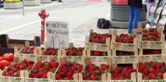 Polskie i Hiszpańskie truskawki frontem do klienta