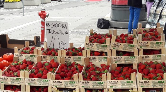 Polskie i Hiszpańskie truskawki frontem do klienta