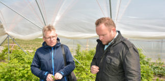 Majówka na plantacjach truskawek i malin, ocena plantacji i zalecenia uprawowe