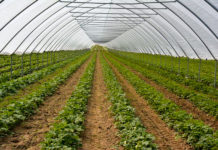 Nawoź i zgarniaj nagrody!