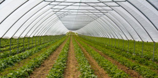 Nawoź i zgarniaj nagrody!