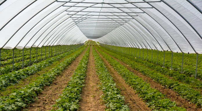 Nawoź i zgarniaj nagrody!