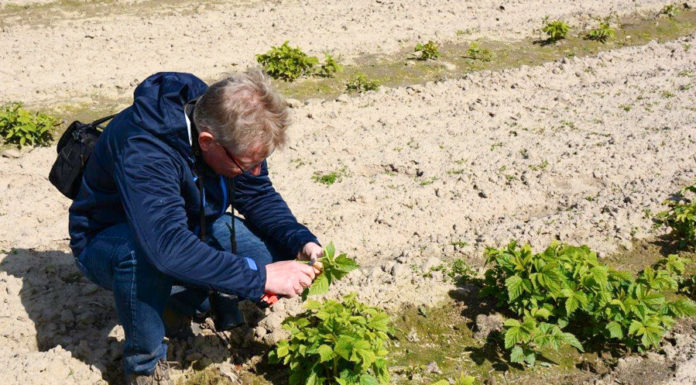Nowy sezon, nowe wyzwania – szkolenie w Gorzkowie