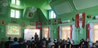 Optymalizacja nawożenia truskawek