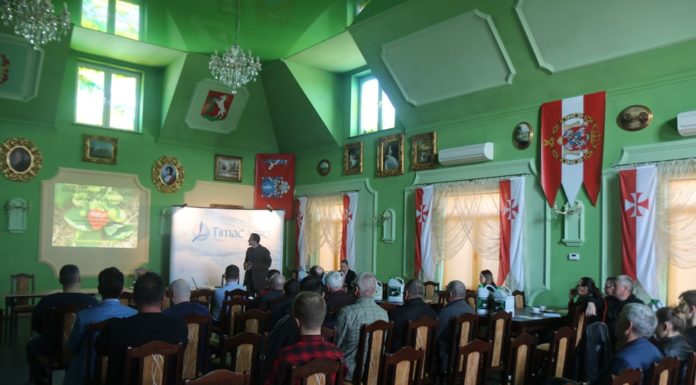 Optymalizacja nawożenia truskawek