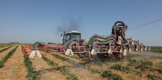 Konferencja truskawkowa Agrosimex, cz. 2 – ochrona