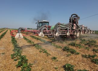 Konferencja truskawkowa Agrosimex, cz. 2 – ochrona