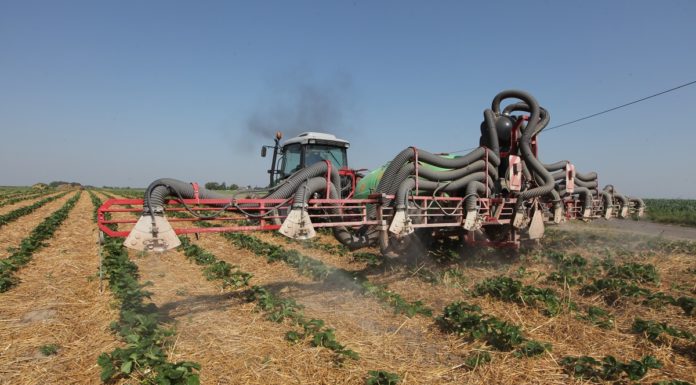 Jak poradzić sobie z ochroną, gdy pogoda wybitnie nie sprzyja?