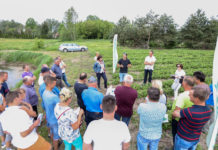 Truskawki po kwitnieniu – zalecenia z Klubu Jagodowego