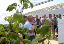 Półfinał Malinowego Factory 2017 (cz. I) – tunelowe doświadczenia