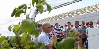 Półfinał Malinowego Factory 2017 (cz. I) – tunelowe doświadczenia