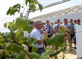 Półfinał Malinowego Factory 2017 (cz. I) – tunelowe doświadczenia