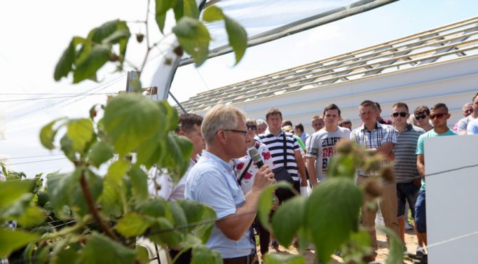 Półfinał Malinowego Factory 2017 (cz. I) – tunelowe doświadczenia