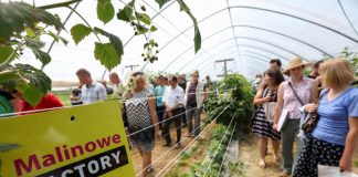 Półfinał Malinowego Factory 2017 – fotorelacja