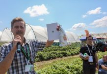 Mikrobilogiczne preparaty w uprawie malin (półfinał Malinowe Factory 2017)