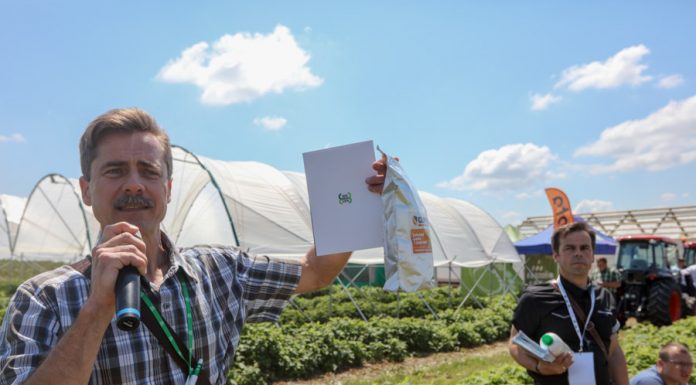 Mikrobilogiczne preparaty w uprawie malin (półfinał Malinowe Factory 2017)