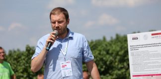 Nowe doświadczenia w polowej uprawie malin (półfinał Malinowe Factory 2017)