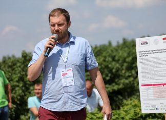Nowe doświadczenia w polowej uprawie malin (półfinał Malinowe Factory 2017)