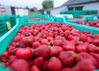 Fundusz Ochrony Rolnictwa – nowe prawo już obowiązuje