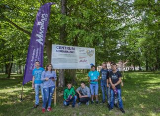 Zajęcia edukacyjne poświęcone murarce ogrodowej w szkole w Sichowie Dużym