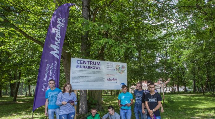 Zajęcia edukacyjne poświęcone murarce ogrodowej w szkole w Sichowie Dużym