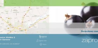 Porzeczkowy zawrót głowy – IV edycja