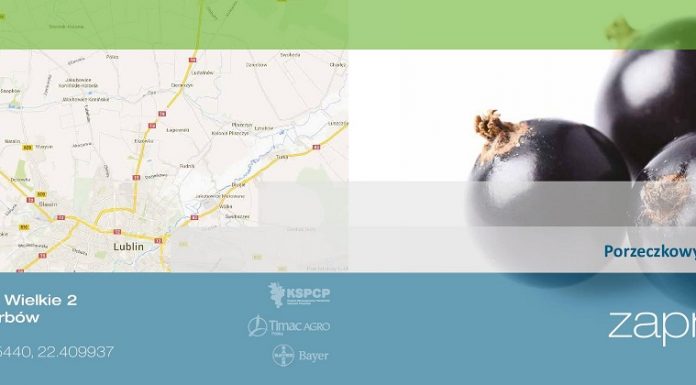 Porzeczkowy zawrót głowy – IV edycja