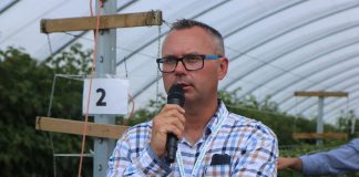 Nawożenie malin w tunelu (półfinał Malinowe Factory 2017, cz. III)