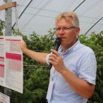 Dr Paweł Krawiec omawia doświadczenia w uprawie tunelowej lepsze