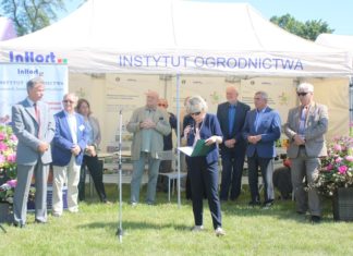 O jagodowych w Dąbrowicach