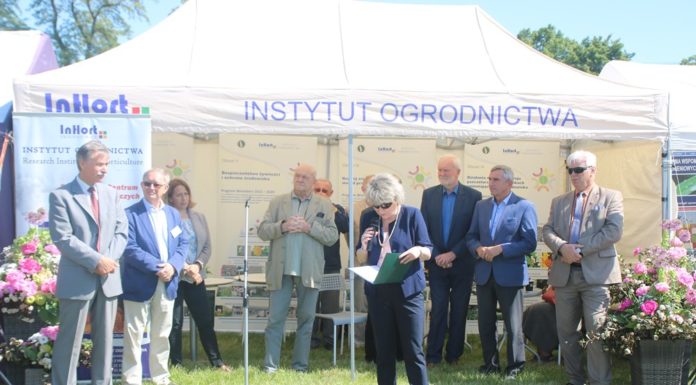 O jagodowych w Dąbrowicach