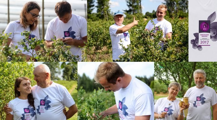 Zaproszenie na Dzień Polskiej Borówki