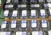 Branding Ovation – pierwszy konkurs marek i marketingu w branży jagodowej