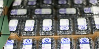 Branding Ovation – pierwszy konkurs marek i marketingu w branży jagodowej