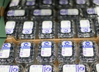 Branding Ovation – pierwszy konkurs marek i marketingu w branży jagodowej