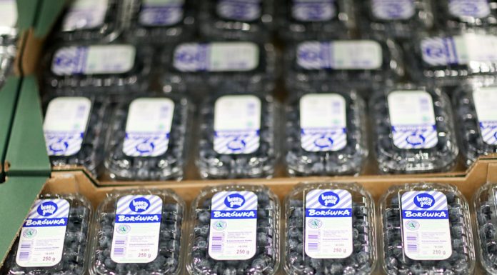 Branding Ovation – pierwszy konkurs marek i marketingu w branży jagodowej