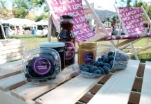 „Lato z borówkami”, czyli jak będą promowane polskie borówki