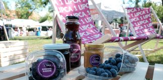 „Lato z borówkami”, czyli jak będą promowane polskie borówki