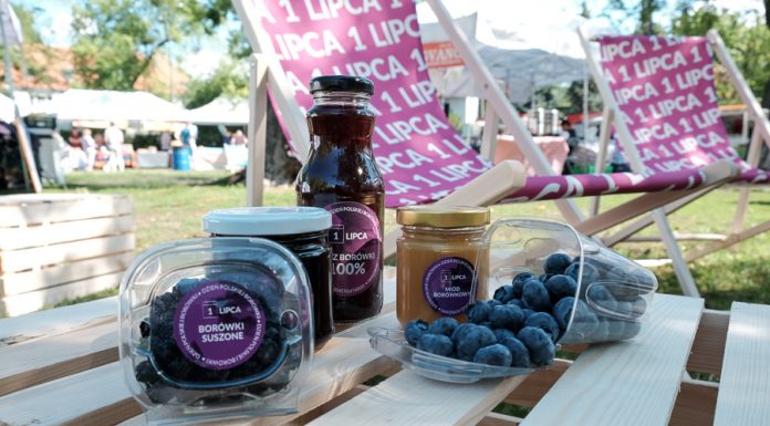 „Lato z borówkami”, czyli jak promowane będą polskie borówki