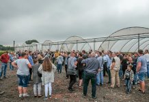 Owocne spotkania na Ovocowej Farmie