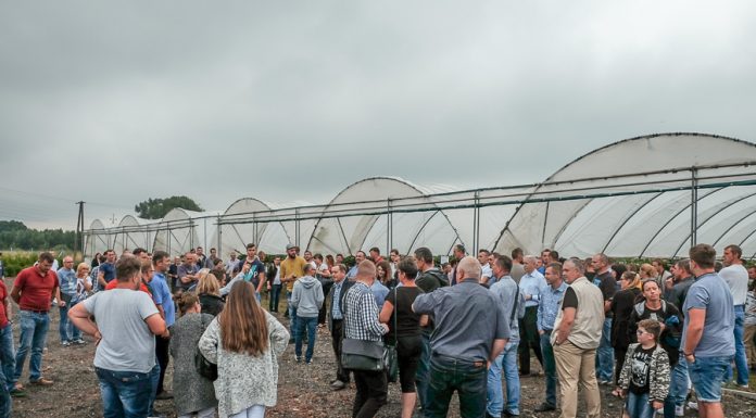 Owocne spotkania na Ovocowej Farmie