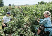 Ustawa ws. pomoc przy zbiorach