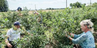 Ustawa ws. pomoc przy zbiorach