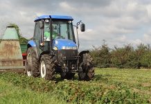 Koszenie liści truskawek po zbiorach owoców, kaprys czy konieczność