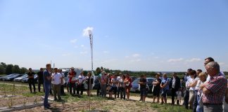 Wieloodmianowa plantacja malin w trakcie zakładania