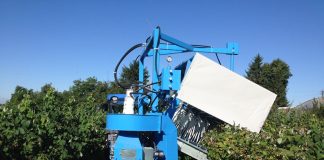 Malinka – polski, półrzędowy kombajn do zbioru maliny letniej