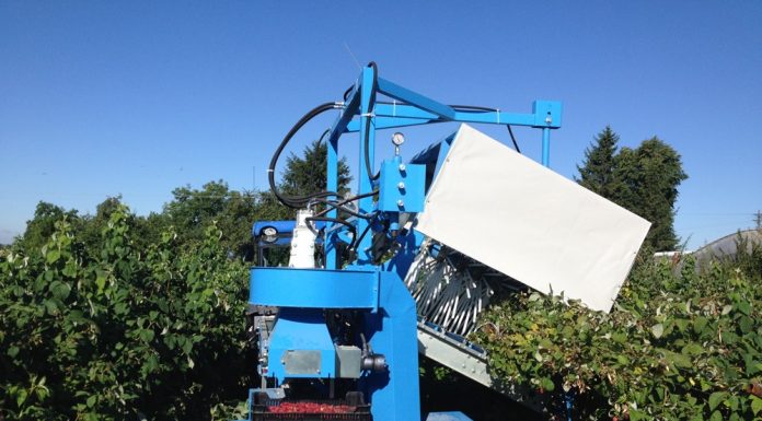 Malinka – polski, półrzędowy kombajn do zbioru maliny letniej