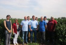 Międzynarodowa Konferencja Porzeczkowa 2018