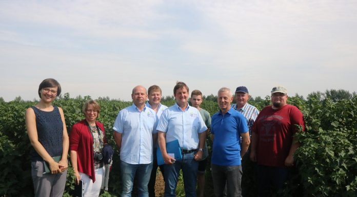 Międzynarodowa Konferencja Porzeczkowa 2018