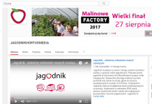 Jagodnik.pl na Youtube – już ponad 3,5 mln wyświetleń filmów